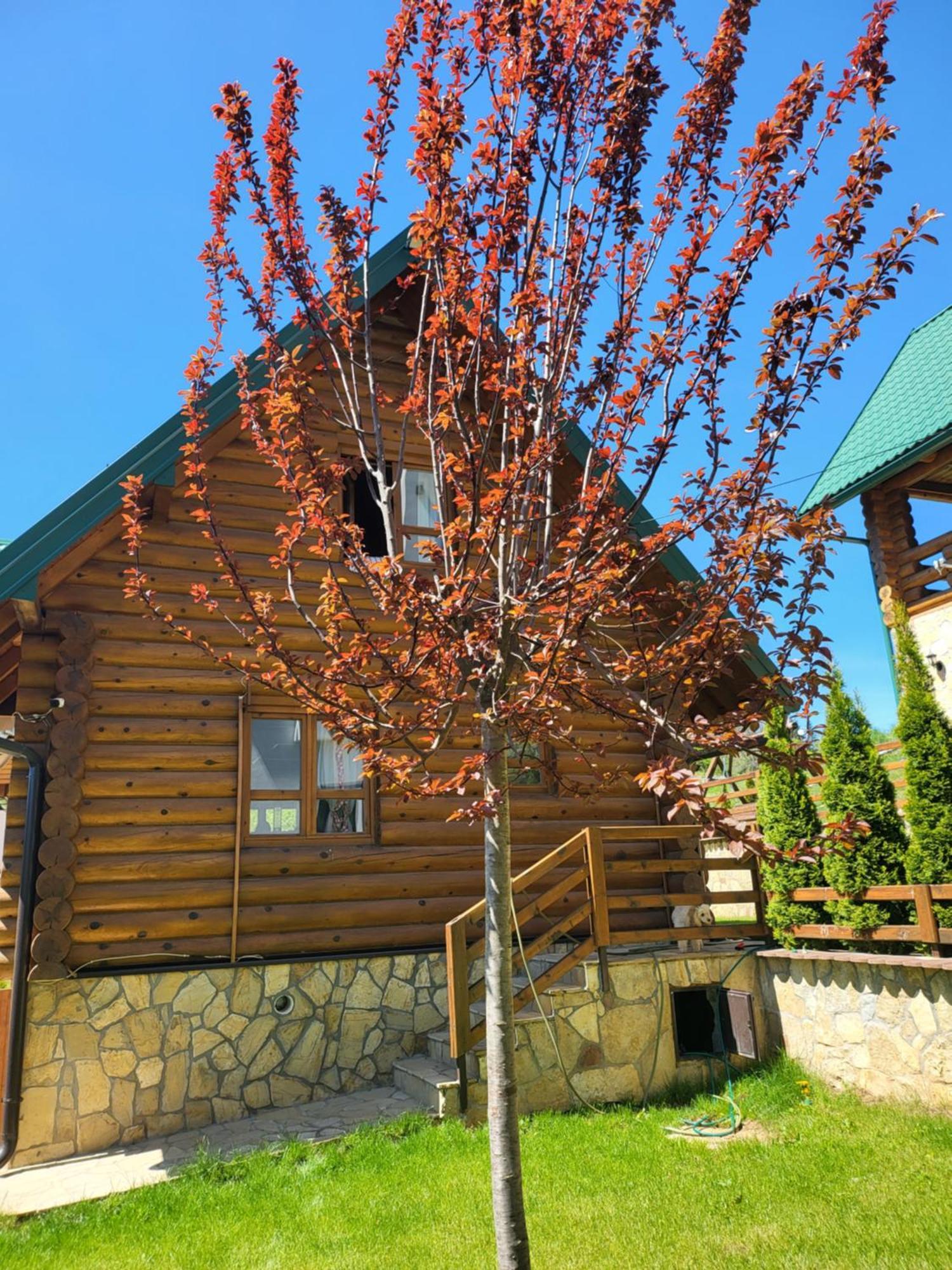 Zlatar Luxury Chalet - Trace Of Nature 2214 Nova Varoš Exteriör bild